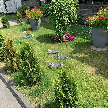 29 Apartment