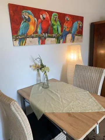 29 Apartamento